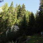 Sentiero verso l'attacco della ferrata